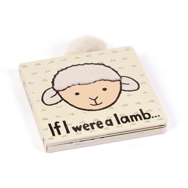 Livre If I were...