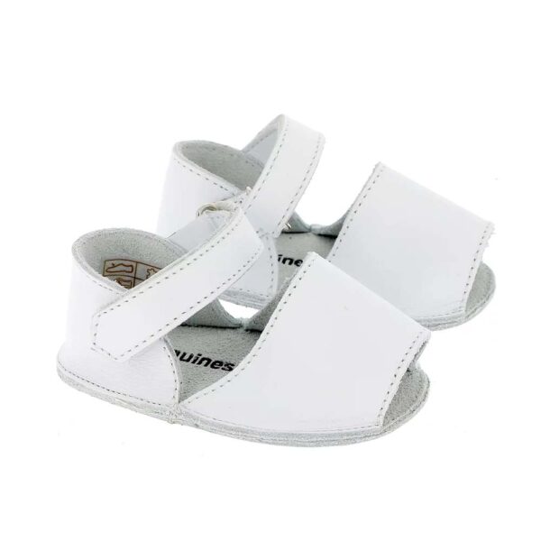 Minorquines Frailera bébé