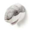 Trophée requin