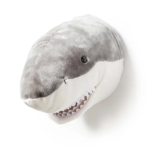 Trophée requin