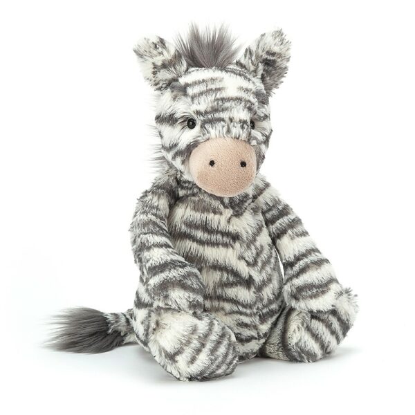 Zebre Bashful