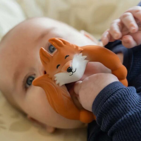 Anneau de dentition Renard