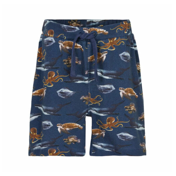 Short Océan