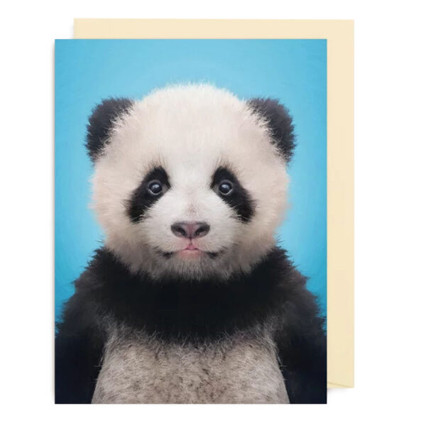 Carte Panda