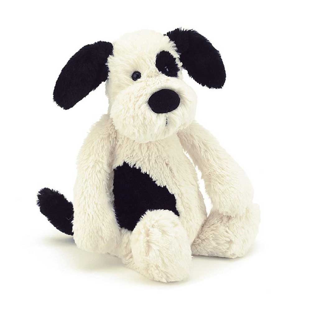 Chiot Bashful Black&Cream Puppy
