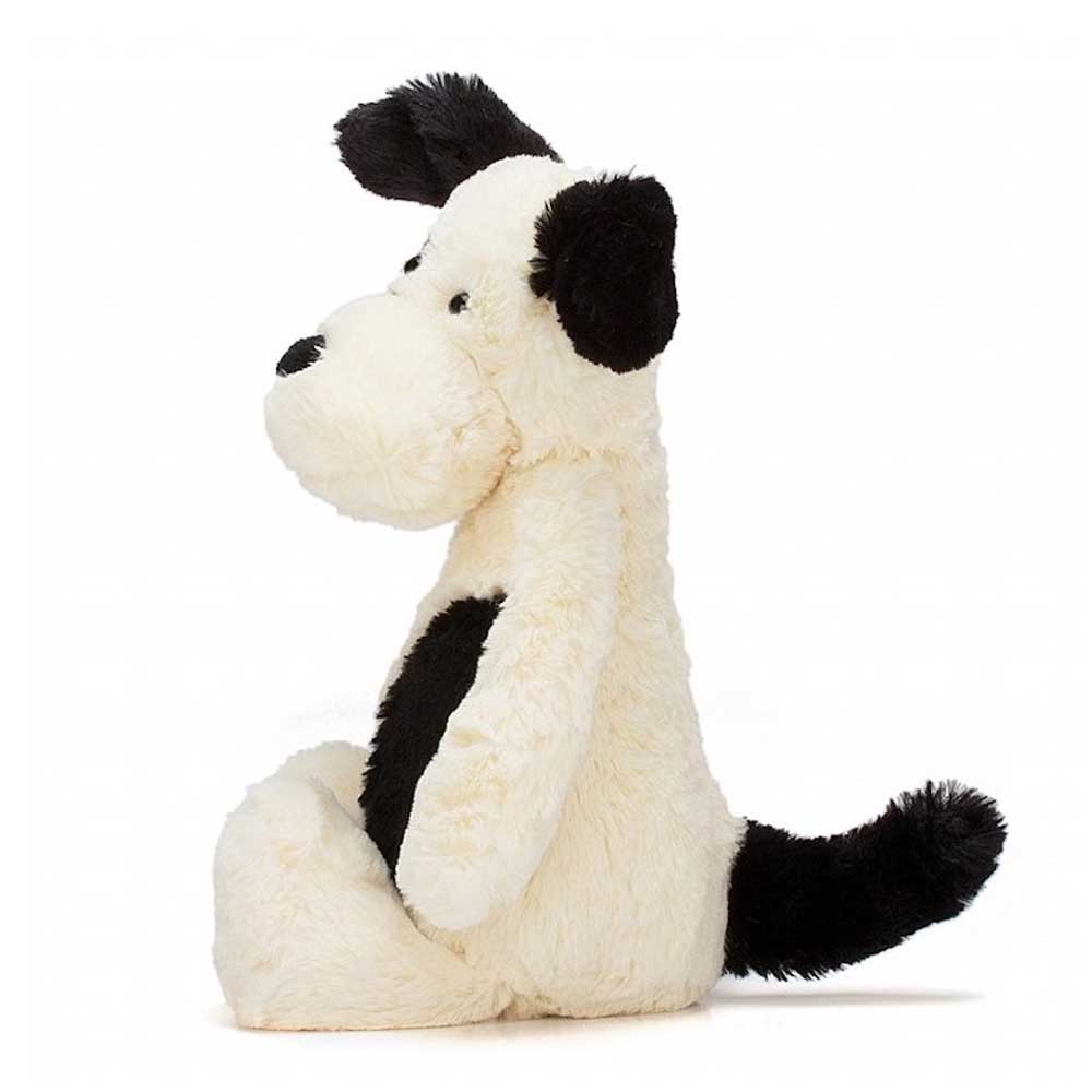 Chiot Bashful Black&Cream Puppy – Image 2