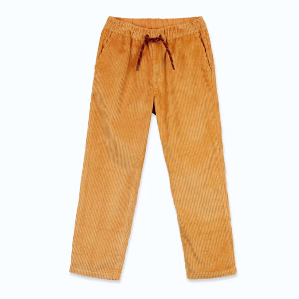 Pantalon gros velours Gots