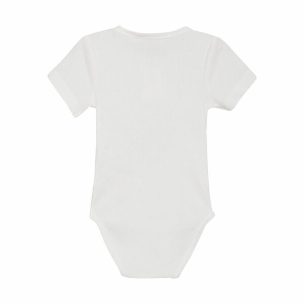 Body Rib