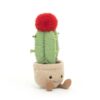 Amuseable Moon Cactus - Image 2