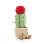 Amuseable Moon Cactus - Image 2
