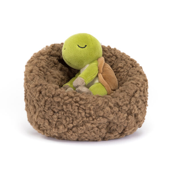 Hibernating Turtle