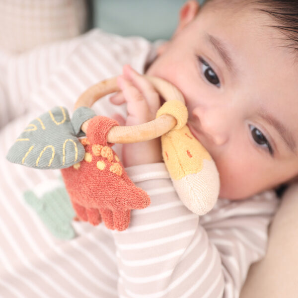 Hochet Dino Activity ring