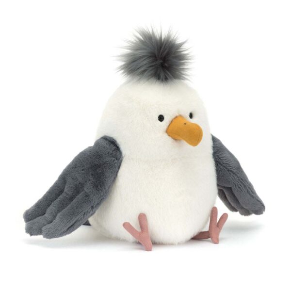 Chip Seagul