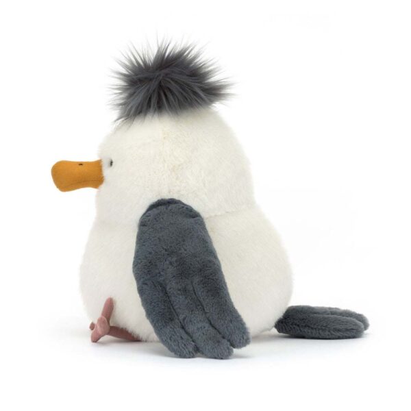 Chip Seagul