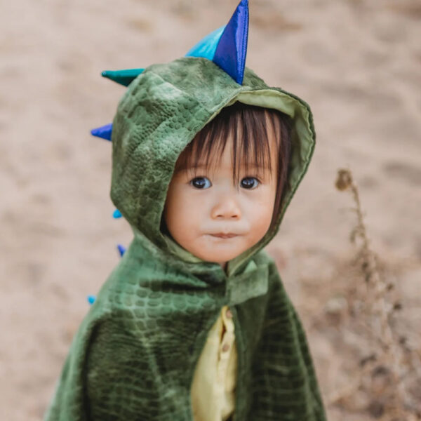 Baby dragon cape