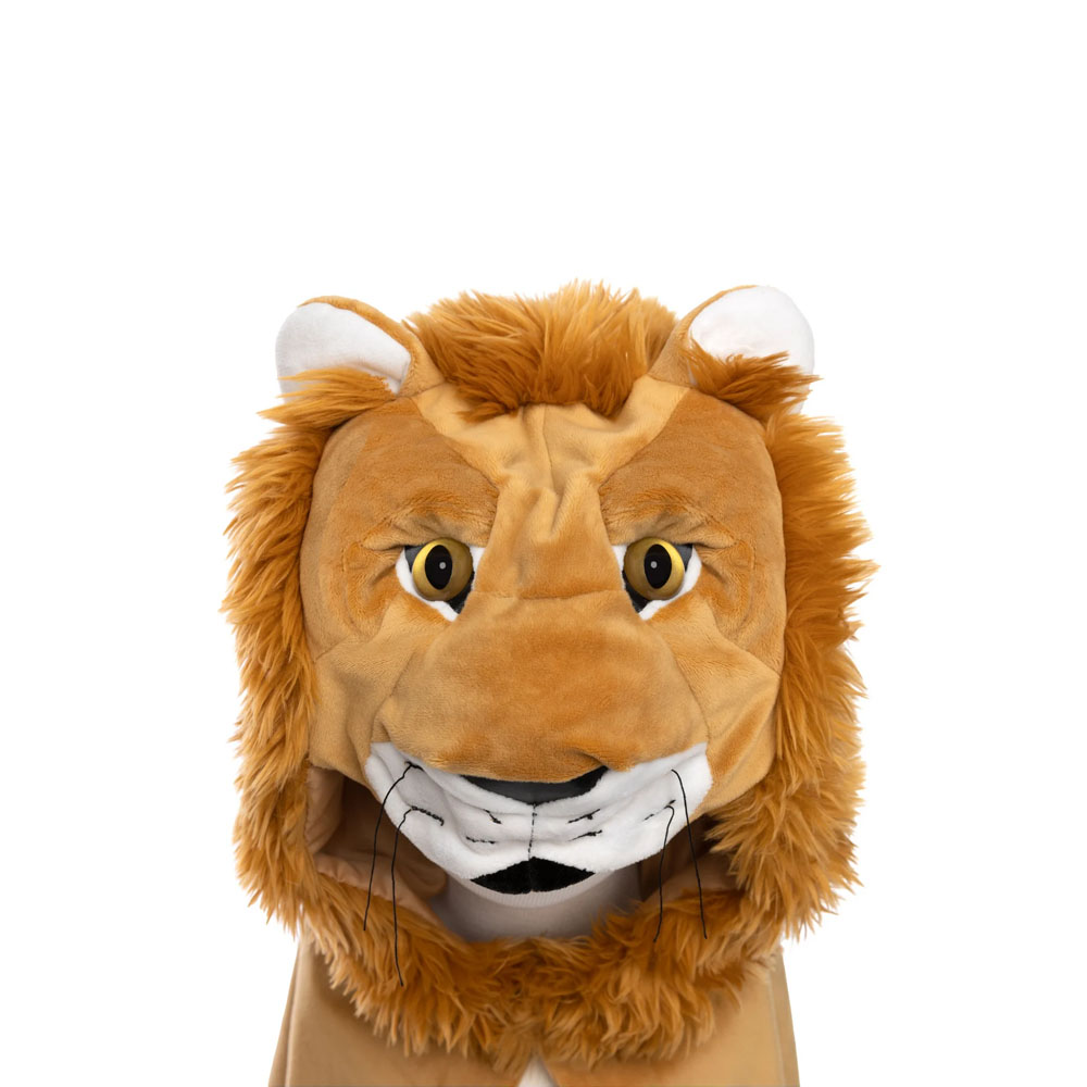 Woodland Lion Cloak Storybook - Image 5