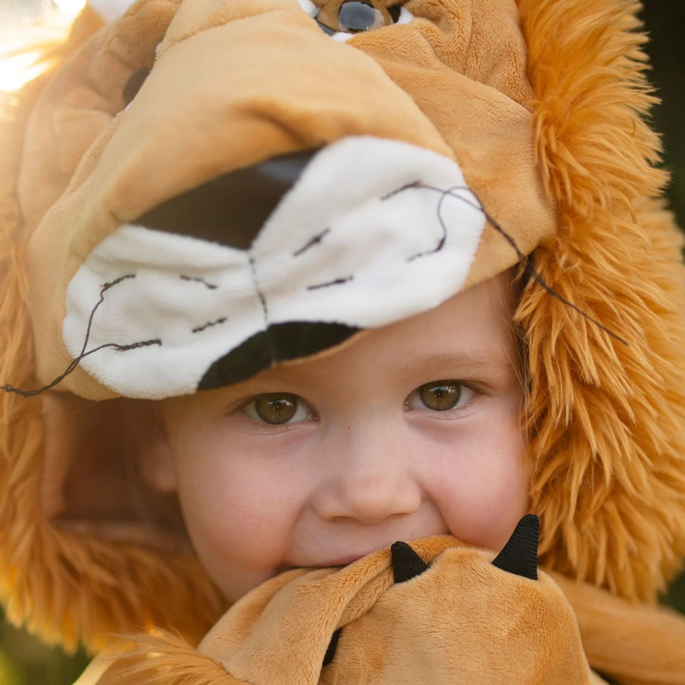 Woodland Lion Cloak Storybook - Image 2