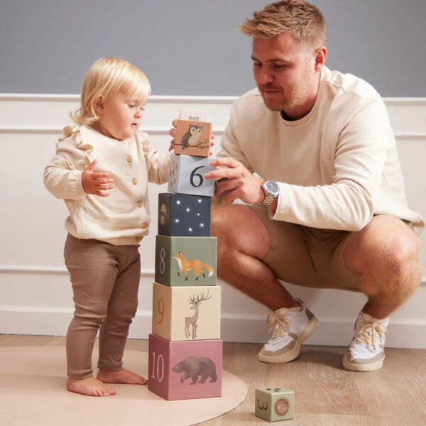 Cubes à empiler Animaux nordiques