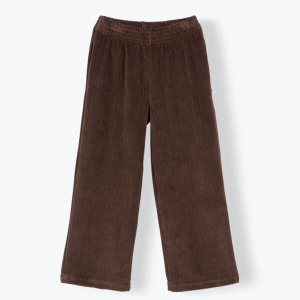 Pantalon velours