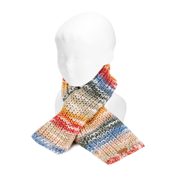 Echarpe multicolore