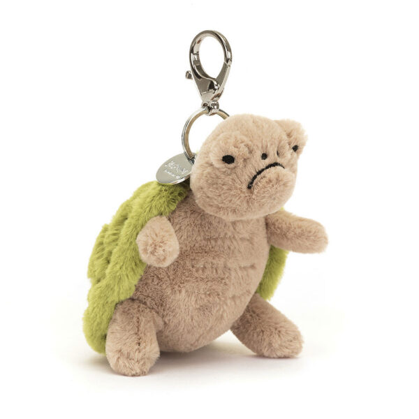 Timmy Turtle Charm