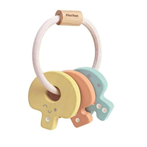 Pastel Key Rattle