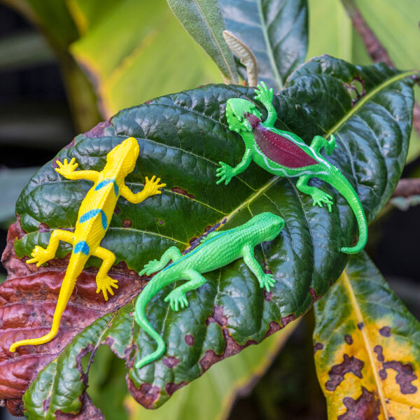 Gecko super stretchy