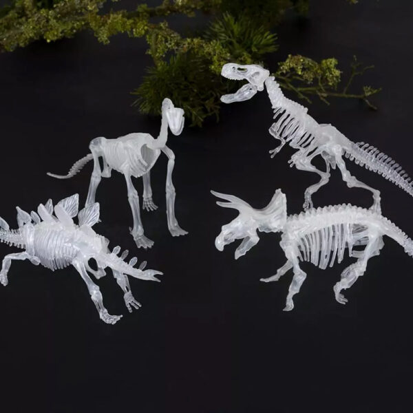Squelettes de dinosaures phosphorescent à construire