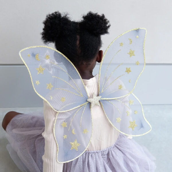 Ailes Starry Night gris