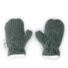 Velvet Mittens