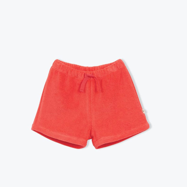 Short bébé éponge