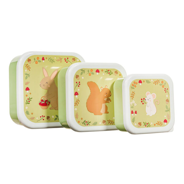 Set de 3 Lunch Boxes Garden Friends