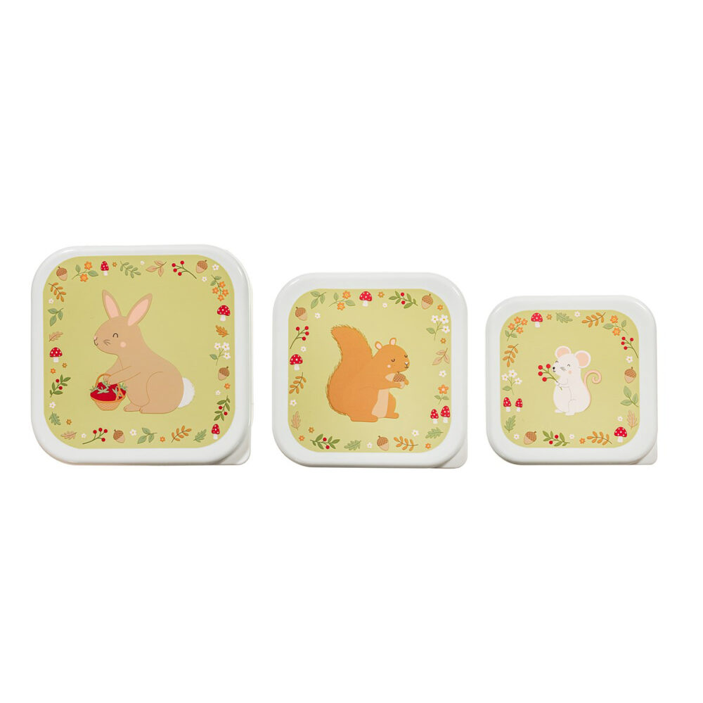 Set of 3 Garden Friends Lunch Boxes - Image 3
