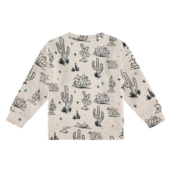 Sweat cactus