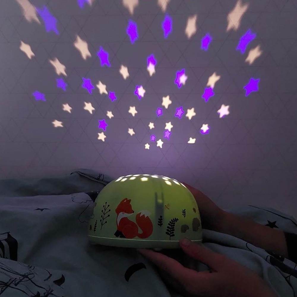 Projecteur amis de la forêt – Image 5