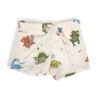 Dino Beach Swim Shorts