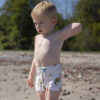 Dino Beach Swim Shorts - Image 2