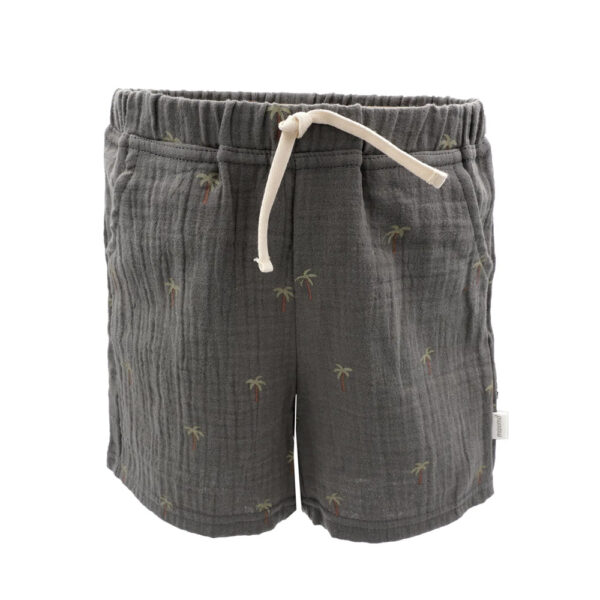 Short en lange palmiers