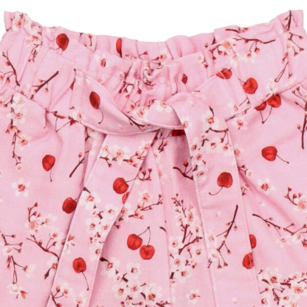 Short Cherries and Blossom