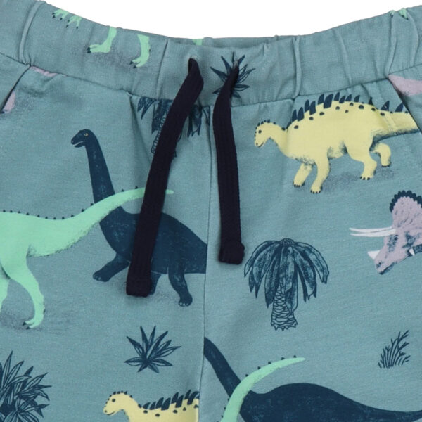 Short Running Dinosaurs