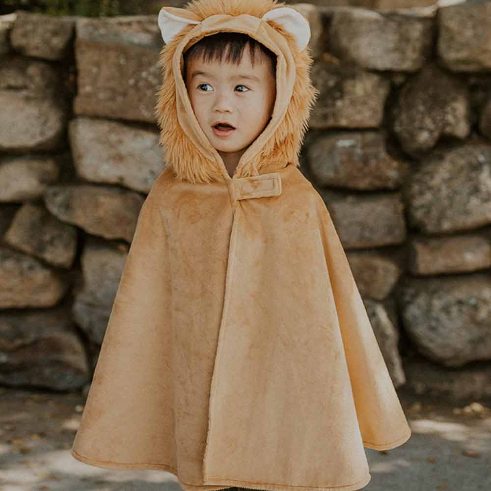 Cape Toddler Lion – Image 2