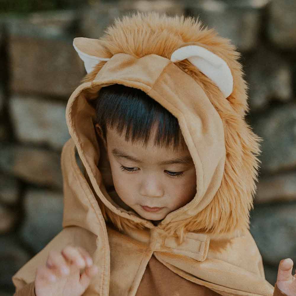 Cape Toddler Lion – Image 3