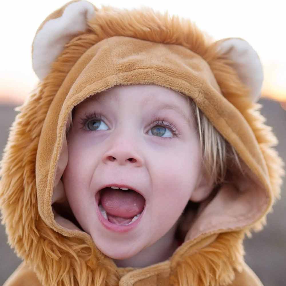 Cape Toddler Lion – Image 4