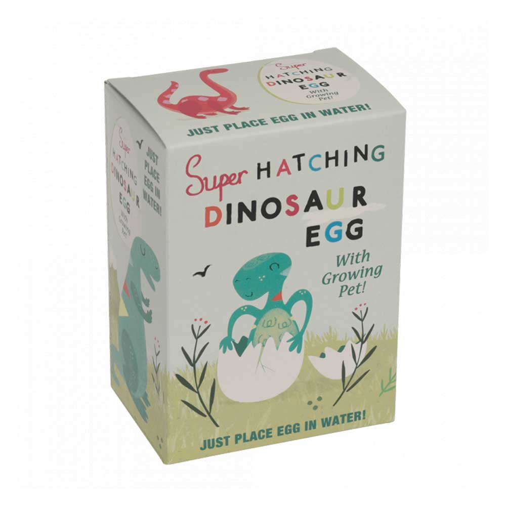 Oeuf de dinosaure à éclore – Image 4