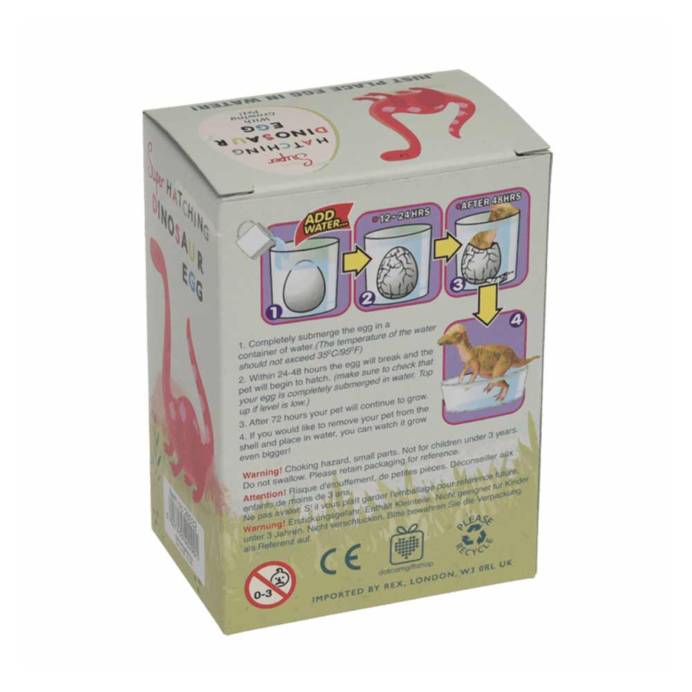 Oeuf de dinosaure à éclore – Image 5