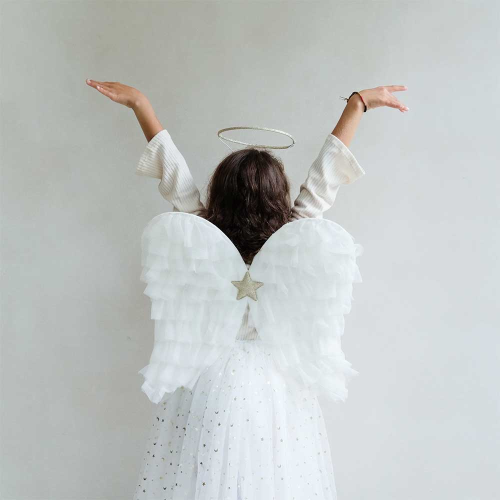 Angel Wings - Image 5