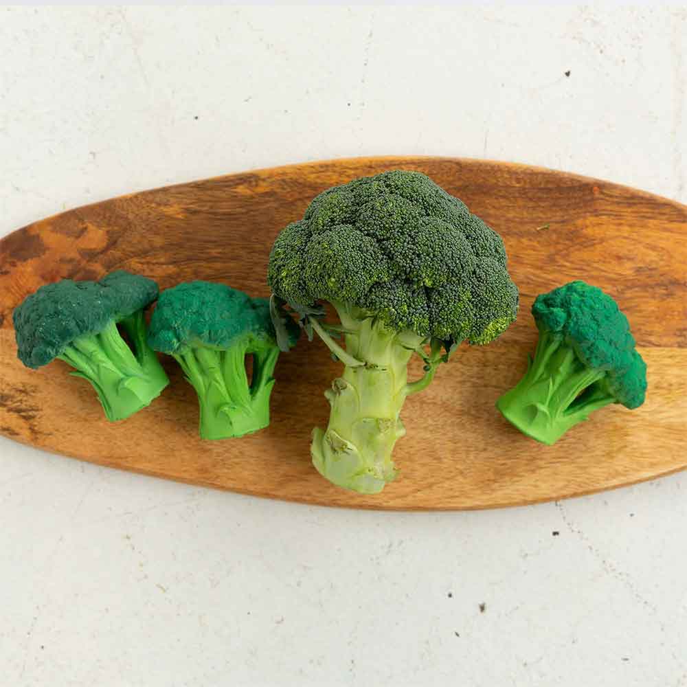 Brucy the Broccoli - Image 3
