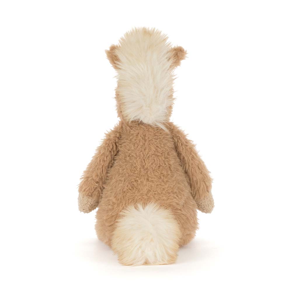 Canterneigh Poney – Image 3