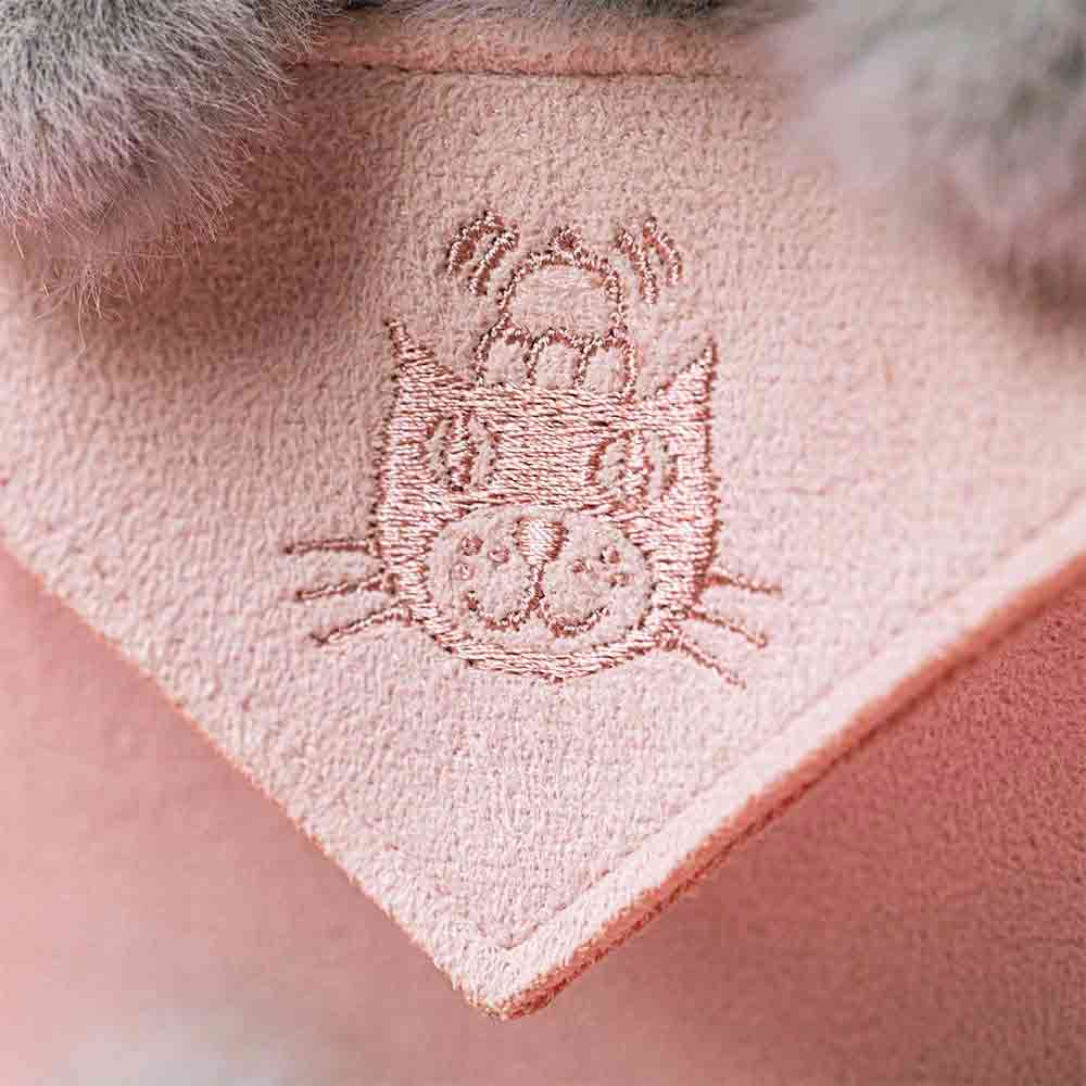 Koala with Message – Image 2