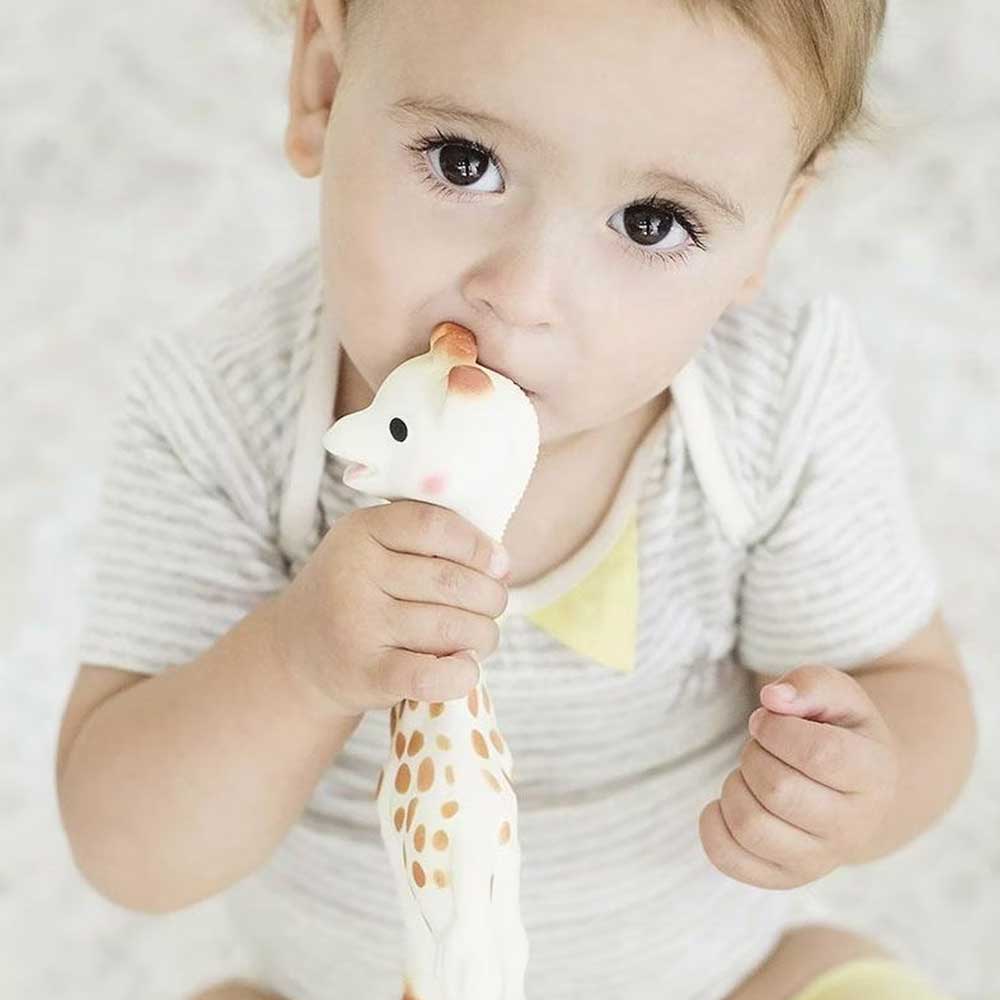 Sophie la Girafe – Image 2